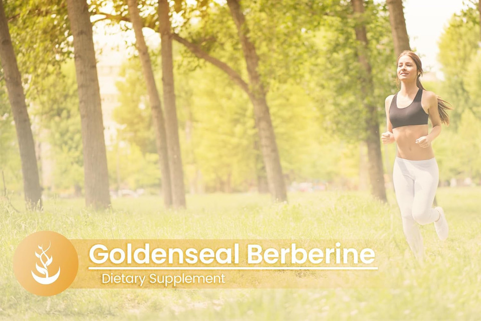 Pure Original Ingredients Goldenseal Berberine, Always Pure, No Additives Or Fillers, Lab Verified (100 Count)