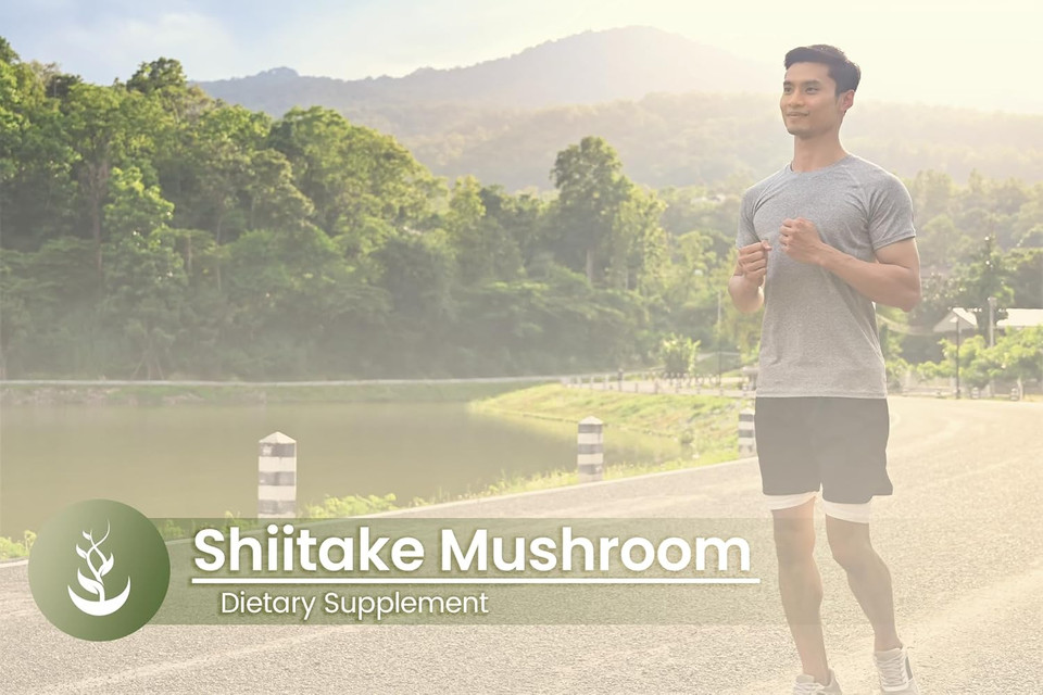 Pure Original Ingredients Shiitake Mushroom Extract (100 Capsules) Always Pure, No Additives Or Fillers, Lab Verified