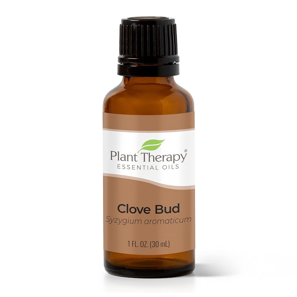 Plant Therapy Clove Bud Essential Oil 100% Pure, Undiluted, Natural Aromatherapy, Therapeutic Grade 30 Ml (1 Oz)