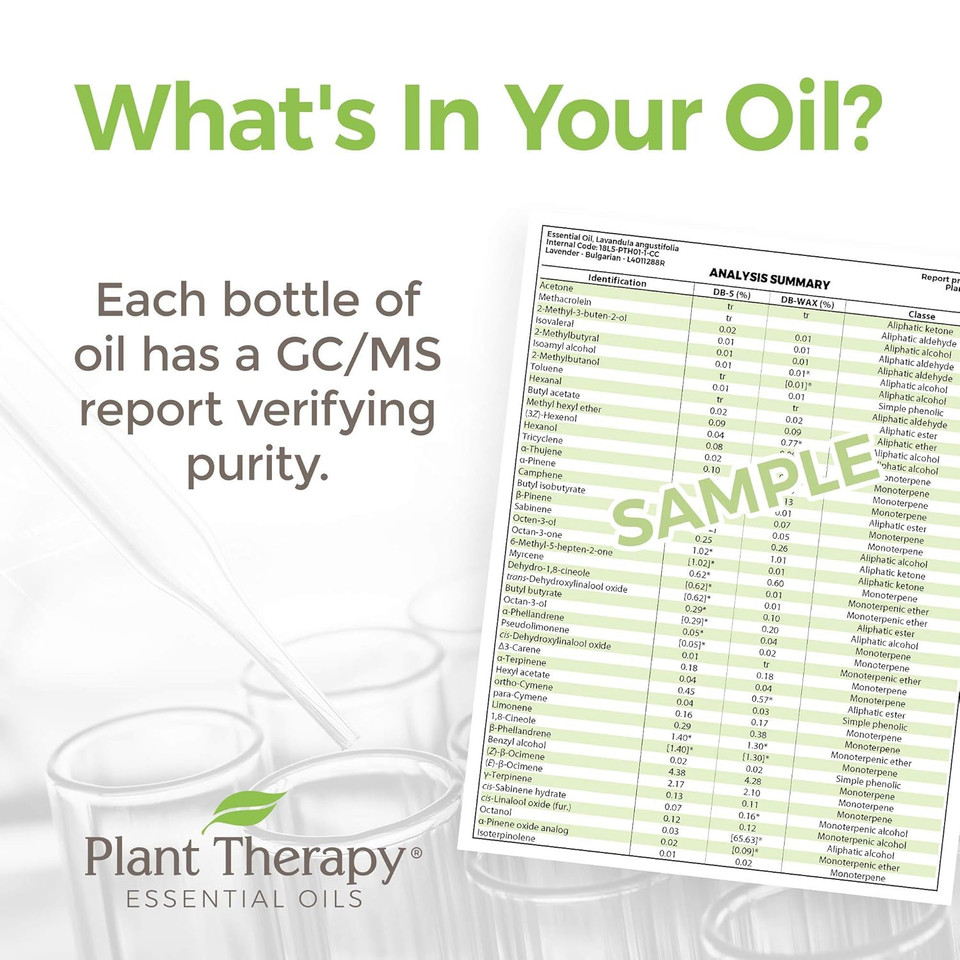Plant Therapy Clove Bud Essential Oil 100% Pure, Undiluted, Natural Aromatherapy, Therapeutic Grade 30 Ml (1 Oz)