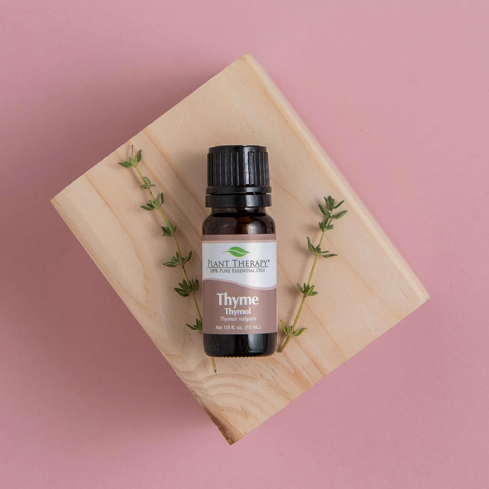 Plant Therapy Thyme Thymol Essential Oil 100% Pure, Undiluted, Natural Aromatherapy, Therapeutic Grade 10 Milliliter (1/3 Ounce)