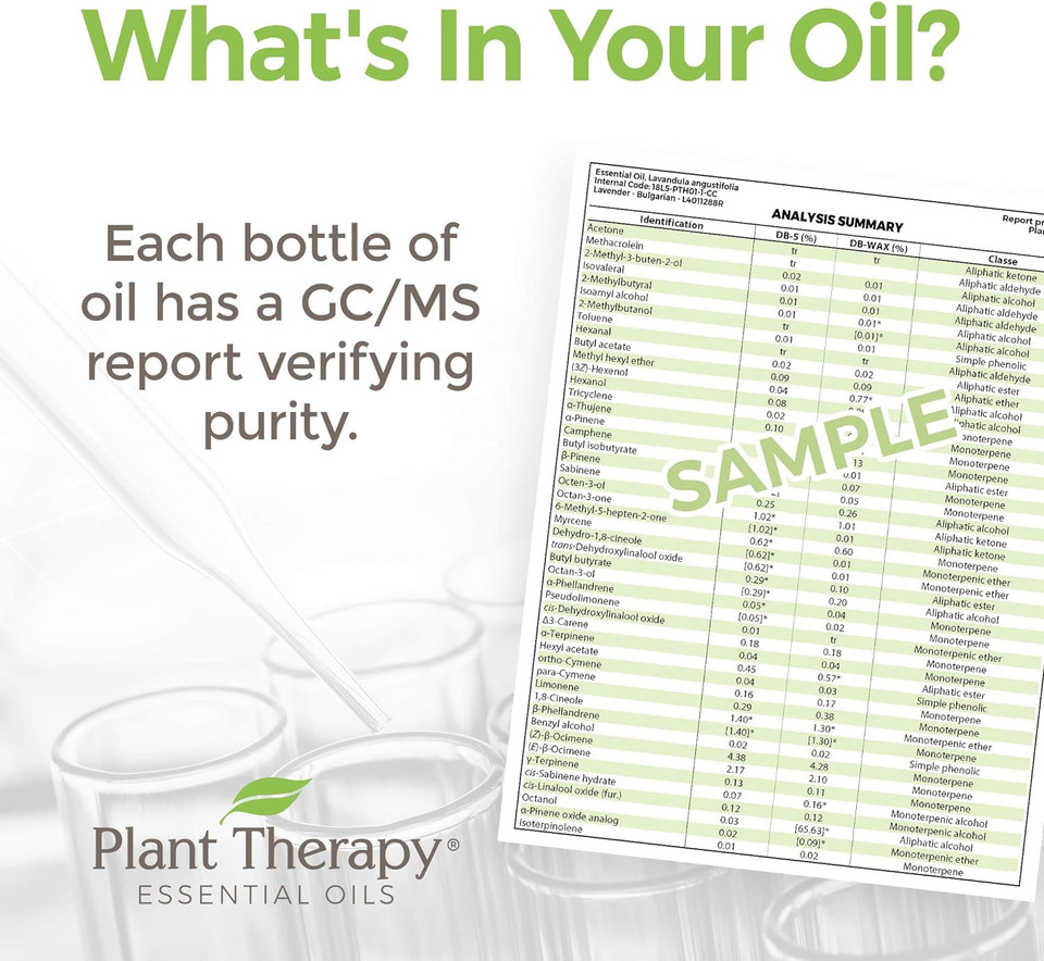 Plant Therapy Peppermint Western U.S. Essential Oil 30 Ml (1 Oz) 100% Pure, Undiluted, Therapeutic Grade