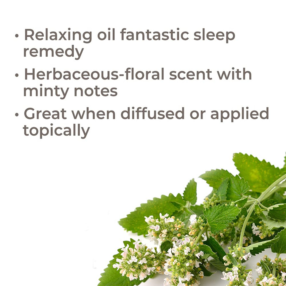 Plant Therapy Catnip Essential Oil 100% Pure, Undiluted, Natural Aromatherapy, Therapeutic Grade 10 Ml (1/3 Oz) Plant Therapy Catnip Essential Oil 100% Pure, Undiluted, Natural Aromatherapy, Therapeutic Grade 10 Ml (1/3 Oz)