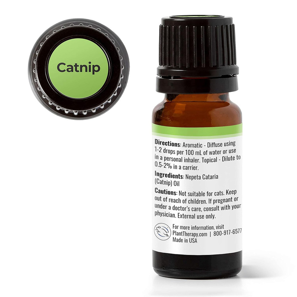 Plant Therapy Catnip Essential Oil 100% Pure, Undiluted, Natural Aromatherapy, Therapeutic Grade 10 Ml (1/3 Oz) Plant Therapy Catnip Essential Oil 100% Pure, Undiluted, Natural Aromatherapy, Therapeutic Grade 10 Ml (1/3 Oz)