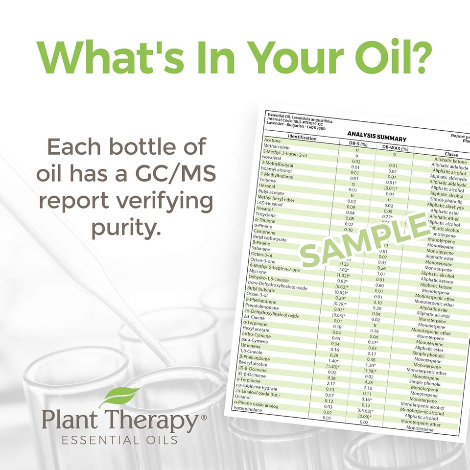 Plant Therapy Catnip Essential Oil 100% Pure, Undiluted, Natural Aromatherapy, Therapeutic Grade 10 Ml (1/3 Oz) Plant Therapy Catnip Essential Oil 100% Pure, Undiluted, Natural Aromatherapy, Therapeutic Grade 10 Ml (1/3 Oz)