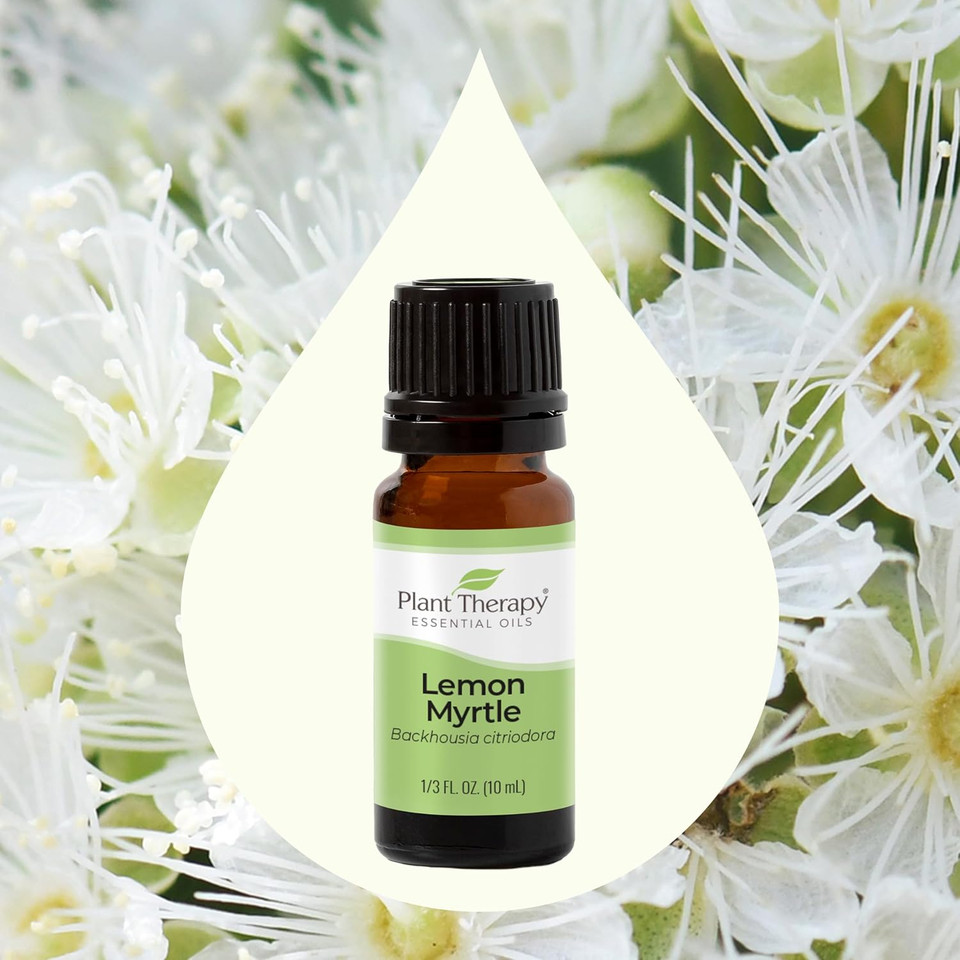 Plant Therapy Lemon Myrtle Essential Oil 10 Ml (1/3 Oz) 100% Pure, Undiluted, Therapeutic Grade