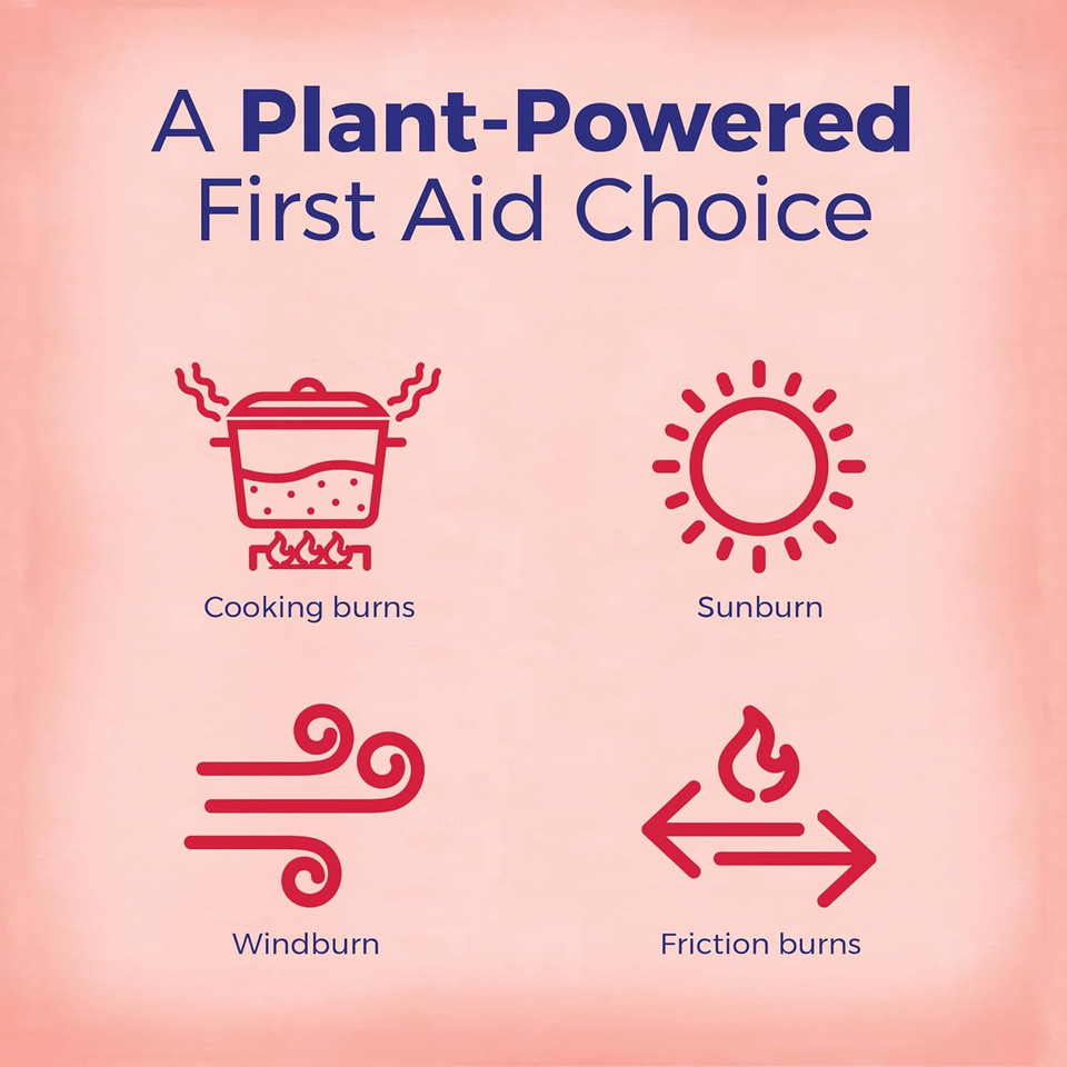 Boiron Calendula Burn Ointment For Relief From Minor Burns From Cooking, Friction, Or Sunburns - 1 Oz Boiron Calendula Burn Ointment For Relief From Minor Burns From Cooking, Friction, Or Sunburns - 1 Oz