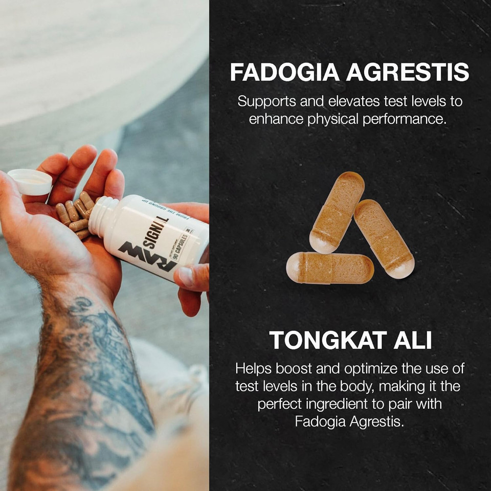 Raw Signal Fadogia Agrestis & Tongkat Ali Supplement, 90 Capsules - Tongkat Ali For Men With (Longjack Root Extract) & Fadogia Agrestis - Maximize & Boost Male Performance