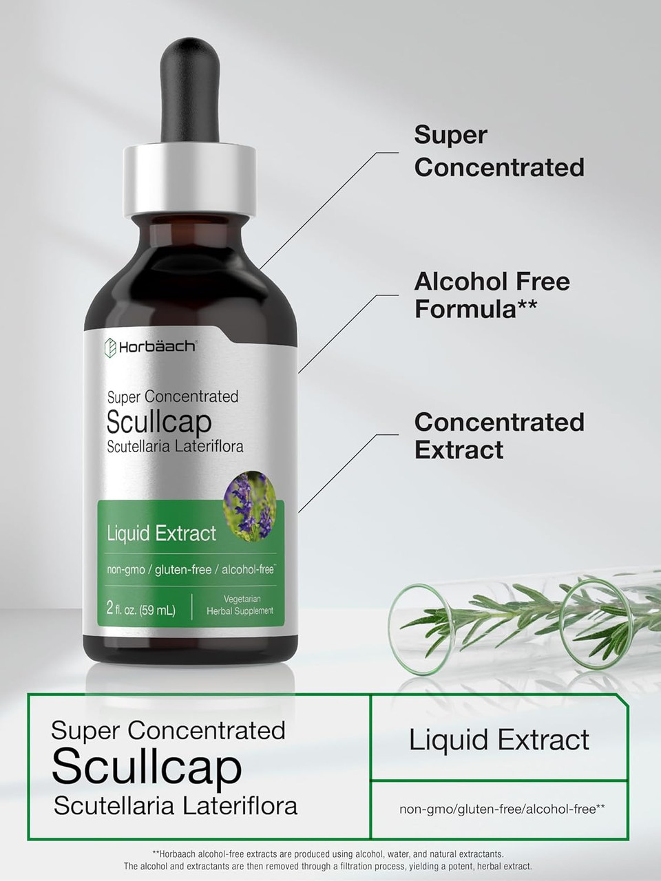Horbã£Â¤Ach Scullcap Herb Liquid Extract | 2 Fl Oz Tincture | Super Concentrated | Alcohol Free, Vegetarian, Non-Gmo, Gluten Free Skullcap Supplement