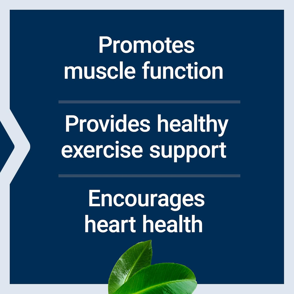 Life Extension Super Carnosine 500Mg - For Muscle Recovery - L-Carnosine Supplement With Benfotiamine, Vitamin B1, Luteolin For Healthy Aging - Non-Gmo, Gluten-Free - 60 Vegetarian Capsules