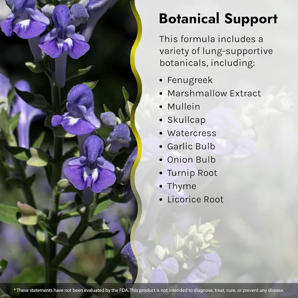 Nature'S Secret Respiratory Support & Defense - 60 Tablets - Promotes Healthy Lungs & Bronchial Tract - With Nac, Fenugreek & Marshmallow - 30 Servings