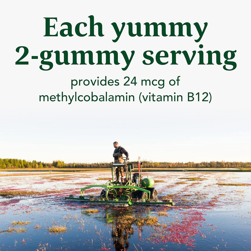 Megafood Vitamin B12 Energy Gummies - Vegan - With Methyl B12 Vitamins To Support Cellular Energy Production - Cranberry - Daily Vitamin B12 Supplement - Usda Organic - 70 Gummies, 35 Servings