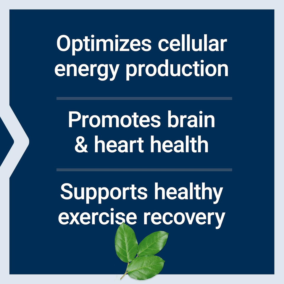 Life Extension Optimized Carnitine, Three Forms Of L-Carnitine, Promotes Heart & Brain Health, Gluten Free, Non-Gmo, Vegetarian, 60 Capsules