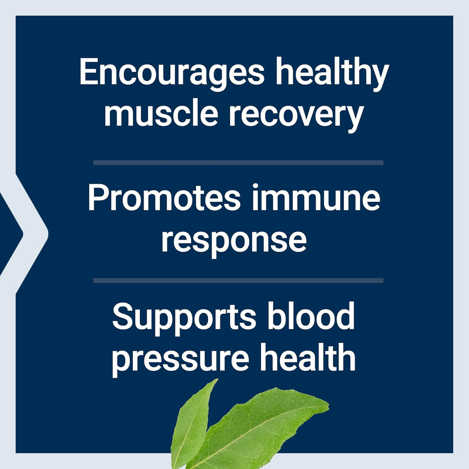 Life Extension Arginine Ornithine Powder, Promotes Muscle Health & Recovery, Gluten Free, Non-Gmo, Net Weight 150 Grams