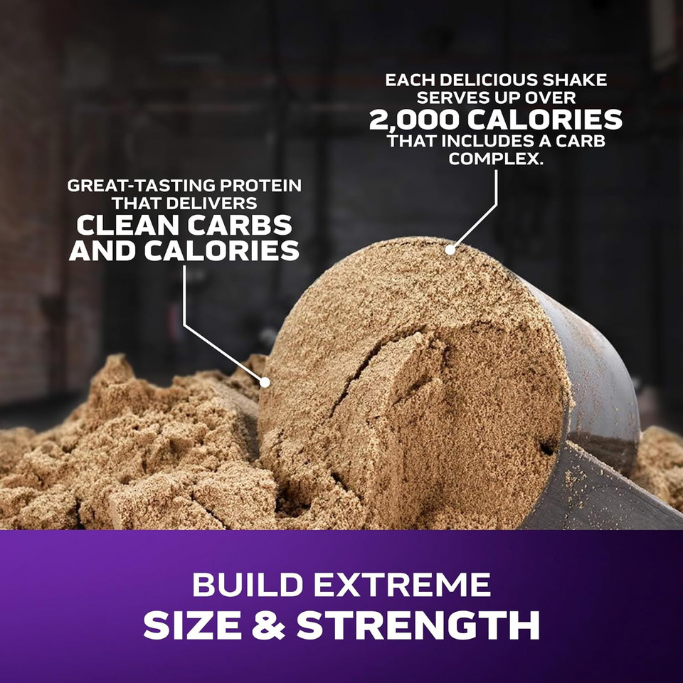 Muscletech High-Protein Mass Gainer (Vanilla Milkshake, 6Lb) - Mass Tech Extreme 2000 Mass Gainer Protein Powder Supplement - Weight Gainer For Increase Muscle, Enhanced Recovery & Strength