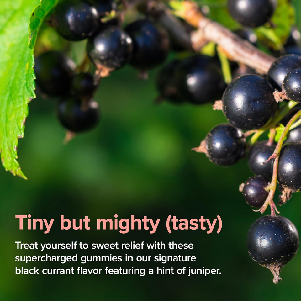 Amberen Energy, Mood, Sleep Gummies With Pycnogenol, Black Currant Flavor, 60 Ct, Support Supplements For Women 35+ To Boost Energy, Support Mood And Improves Sleep, Hormone-Free Energy Gummies