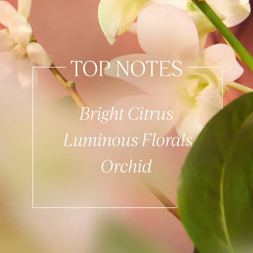 L'Occitane Body Milk: Moisturizing, Soften Skin, Delicately Perfume Skin, Vegan, Made In France, Citrus Verbena, Herbae, Neroli & Orchidee, 8.4 Fl Oz