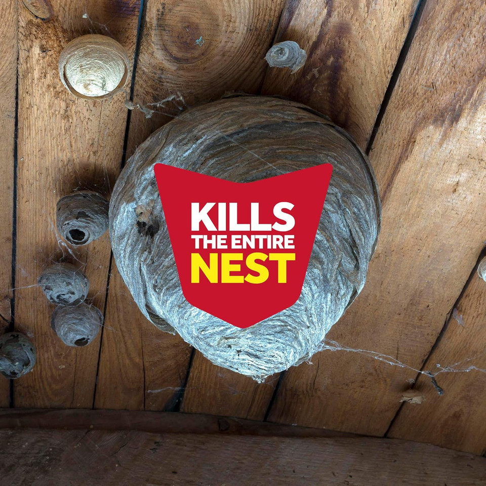 Raid Wasp And Hornet Killer Spray, Kills The Entire Nest, Kills Paper Wasps, Yellow Jackets, Mud Daubers And More, 14 Oz