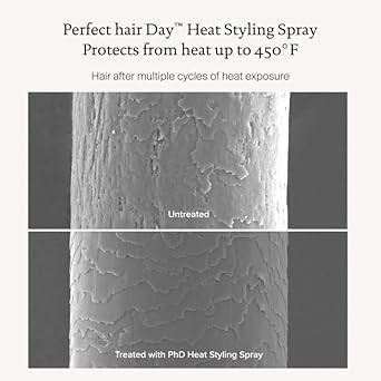 Living Proof Perfect Hair Day Heat Styling Spray