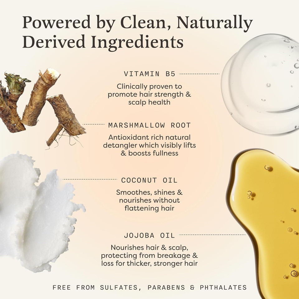 The Earthling Co. Shampoo Bar - Promote Hair Growth, Strengthen & Volumize All Hair Types - Paraben & Sulfate Free Formula With Natural, Vegan Ingredients For Dry Hair (Citrus Sun, 3 Oz)