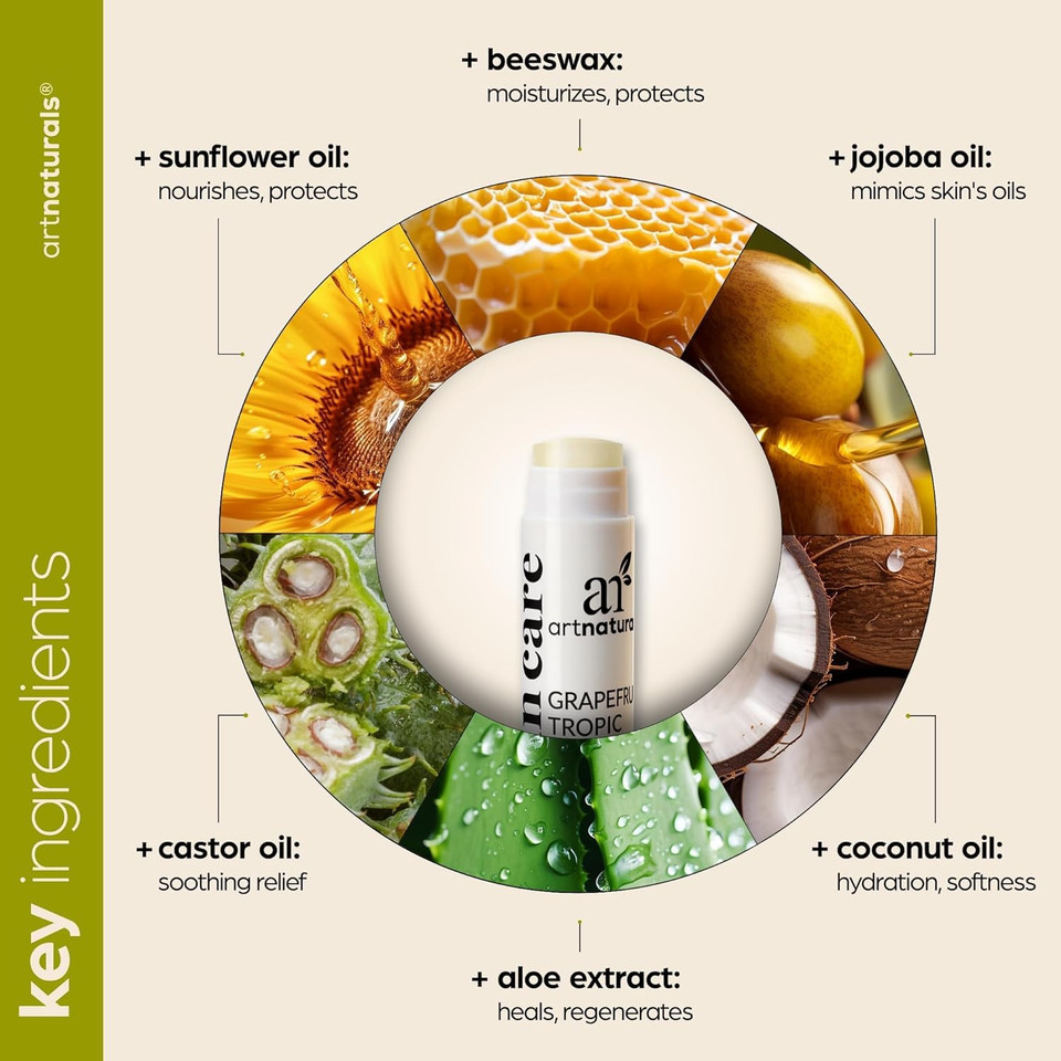 Artnaturals Organic Beeswax Lip Balm Gift Set - Assorted Flavors With Aloe, Coconut & Jojoba Oils