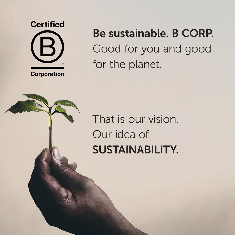 Illy Drip Coffee - Ground Coffee - 100% Arabica Ground Coffee  Classico Medium Roast - Notes Of Caramel, Orange Blossom & Jasmine - No Preservatives  Mild & Balanced  4.4 Ounce