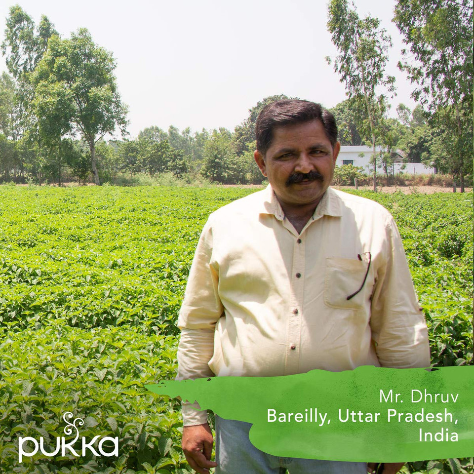 Pukka Organic Tea Bags, Three Mint Herbal Tea, Perfect For Cooling Refresh, 20 Count (Pack Of 3) 60 Tea Bags