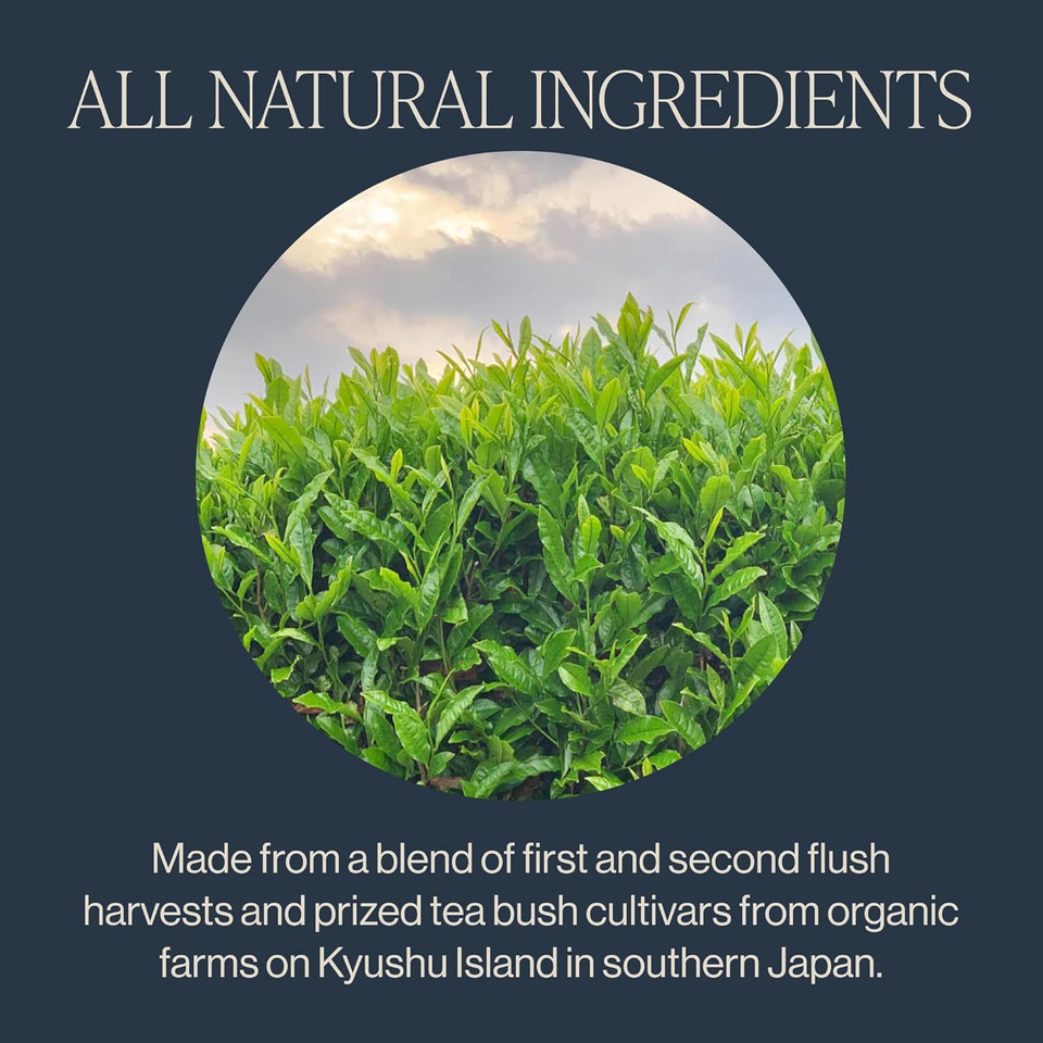 Rishi Tea Sencha Green Tea | Usda Organic Direct Trade Sachet Tea Bags, Certified Kosher Caffeinated Japanese Green Tea | 15 Count (Pack Of 6)