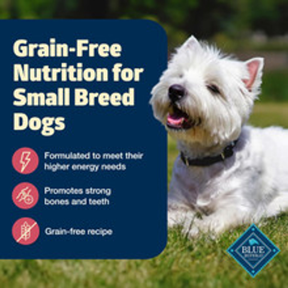 Blue Buffalo Freedom Grain-Free Small Breed Dry Dog Food, Supports High Energy Needs, Made In The Usa With Natural Ingredients, Chicken & Potatoes, 4-Lb. Bag