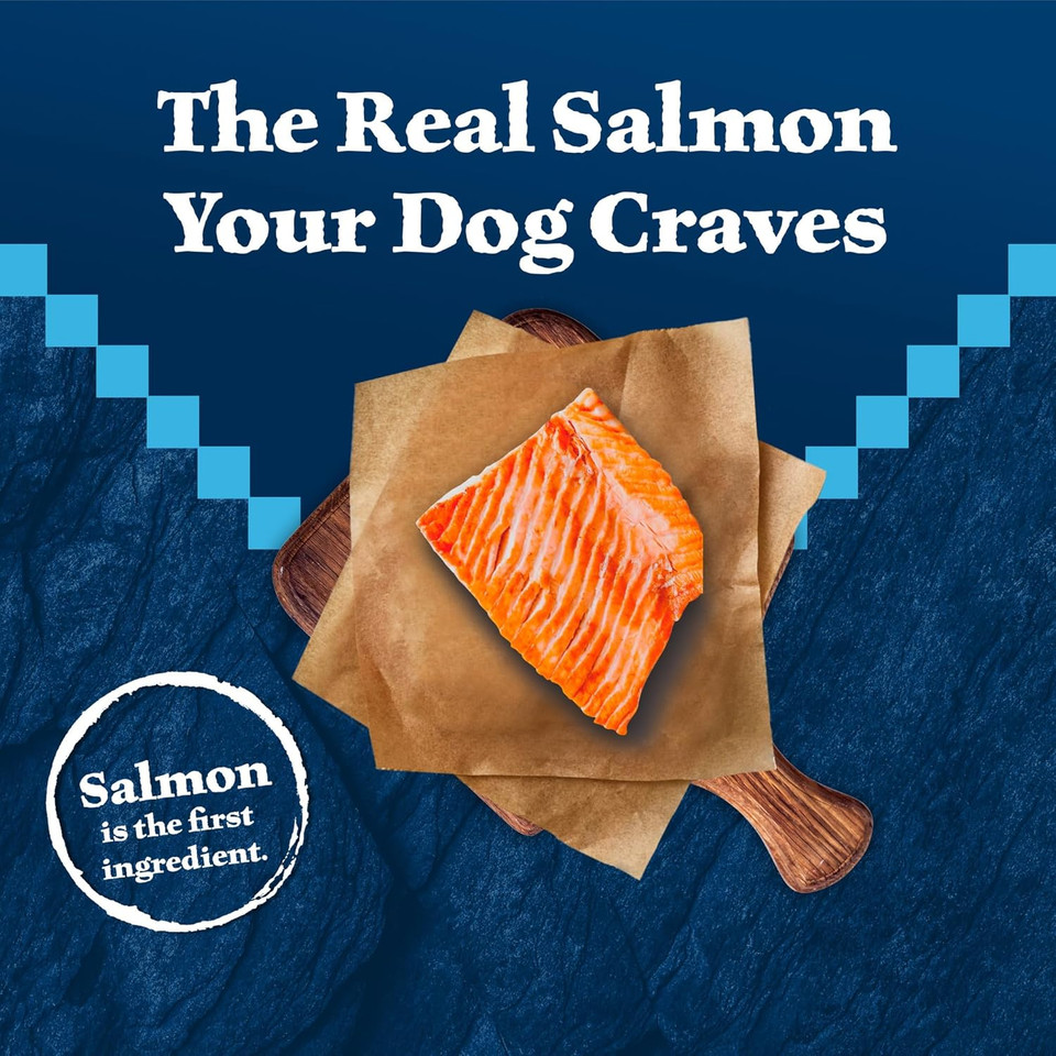 Blue Buffalo Wilderness Natural High-Protein Dry Food For Adult Dogs, Salmon Recipe, 28-Lb. Bag