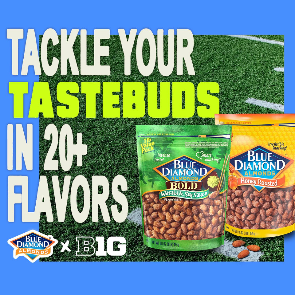 Blue Diamond Almonds Salt N' Vinegar Flavored Snack Nuts, 16 Oz Resealable Bag (Pack Of 1)