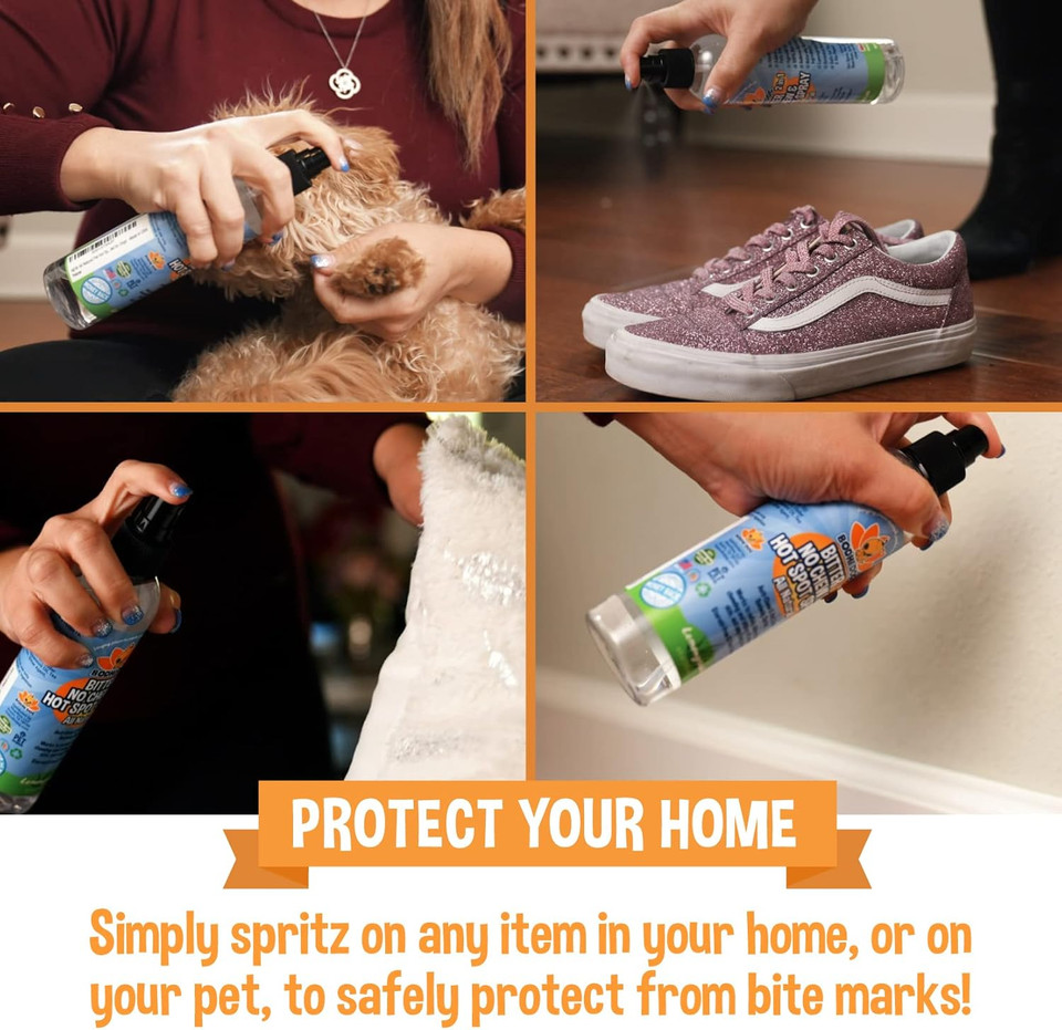 Bodhi Dog Bitter 2 In 1 No Chew 8Oz + House Breaking Spray 8Oz Bundle