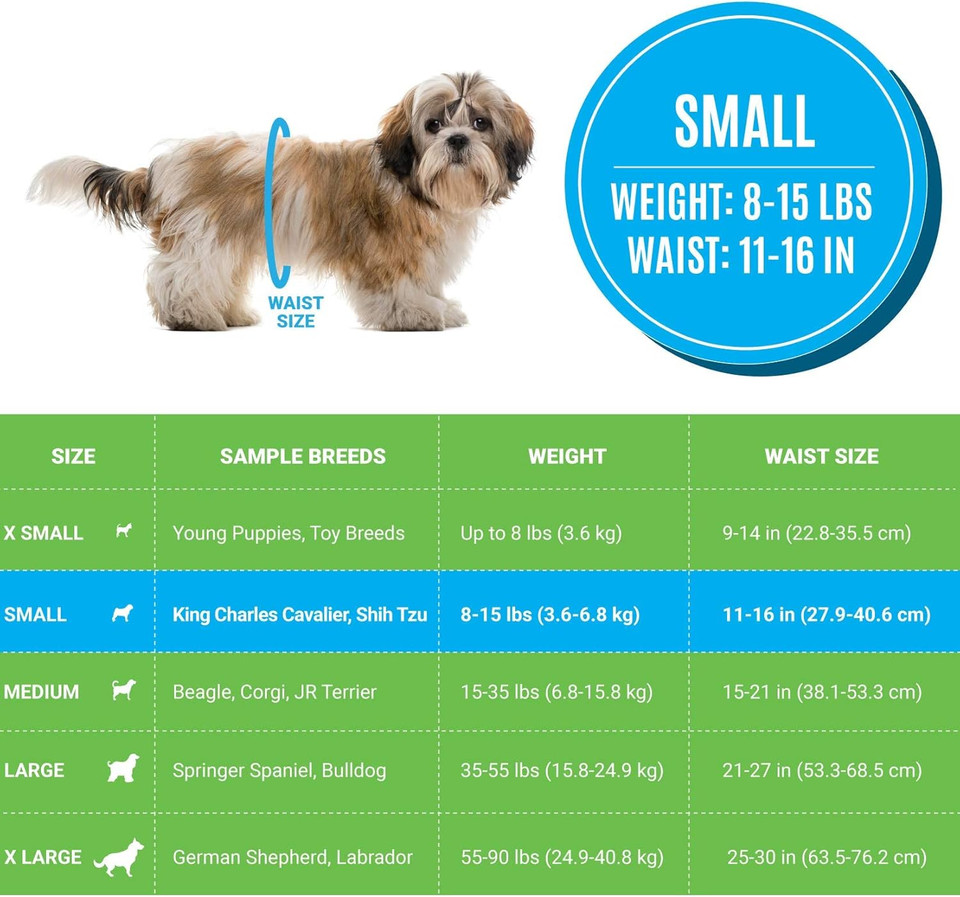 Bodhi Dog Disposable Male Dog Diapers | Super Absorbent Leak-Proof Fit | Premium Adjustable Male Dog Pee Wraps With Moisture Control & Wetness Indicator | 20 Count Small Size