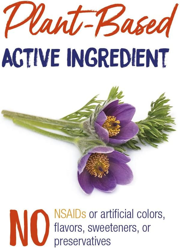 Boiron Pulsatilla 30C Homeopathic Medicine For Relief From Cold, Nasal Congestion, Thick Mucus, And Cough - 3 Count (240 Pellets)