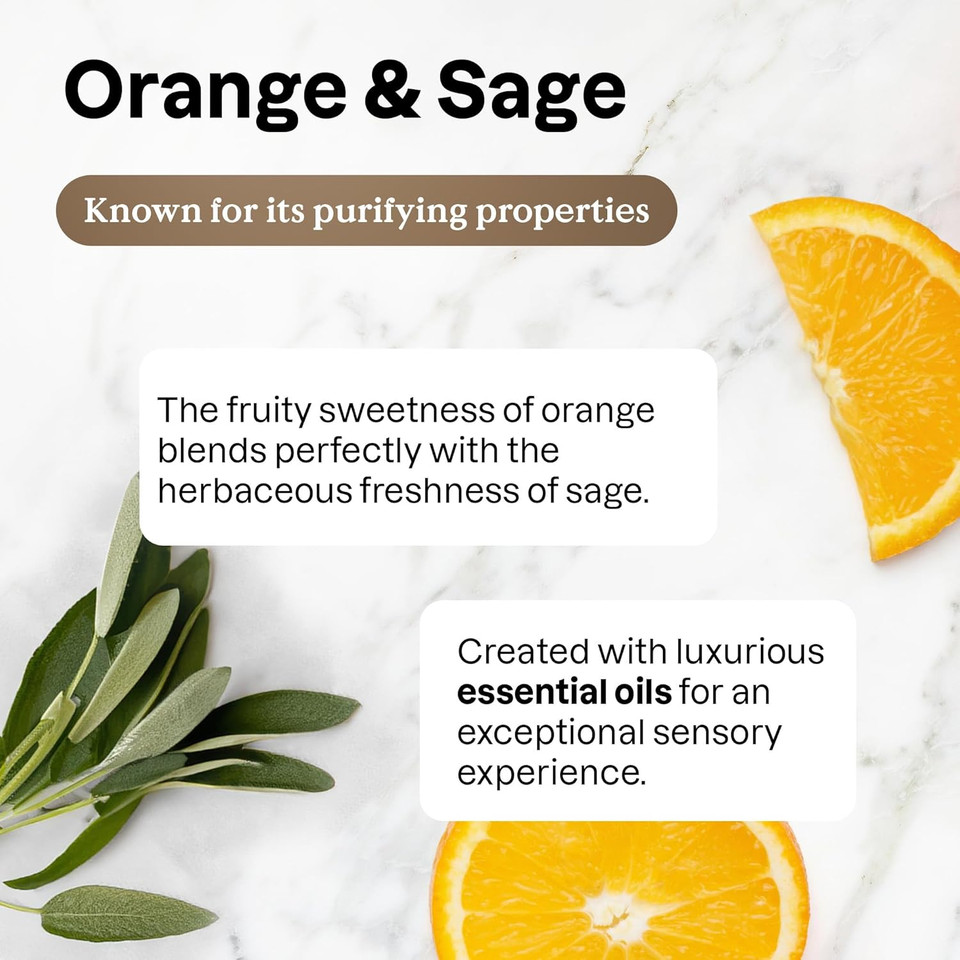 Bundle Of Attitude Dish Soap, Ewg Certified, Plant And Mineral-Based Ingredients, Vegan, Orange And Sage, Refillable Aluminum Bottle, 16 Fl Oz + Bulk Refill, 67.6 Fl Oz