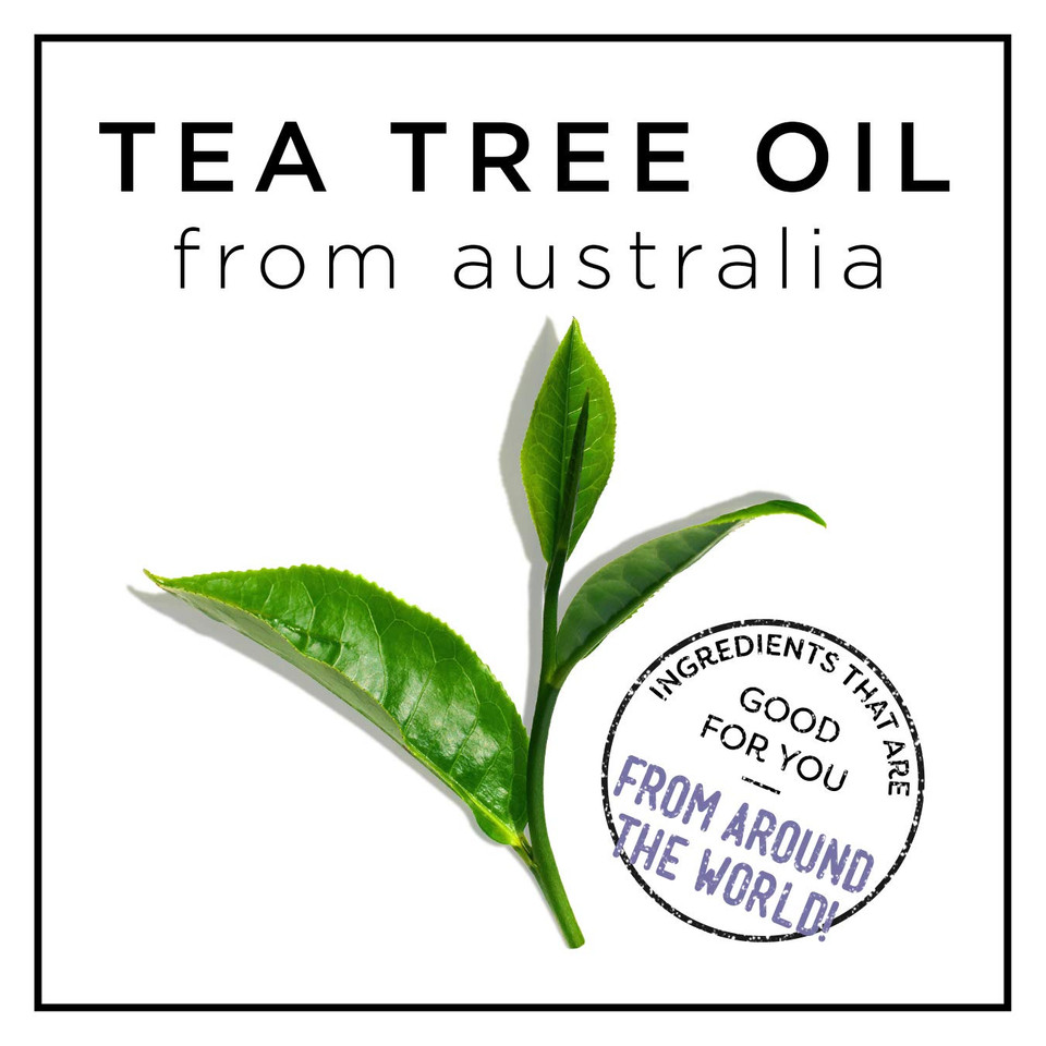 Hask Tea Tree Back To School Pack: Tea Tree Oil & Rosemary Shampoo And Conditioners And A 2-Pack Of 5-In-1 Leave In Conditioner Sprays