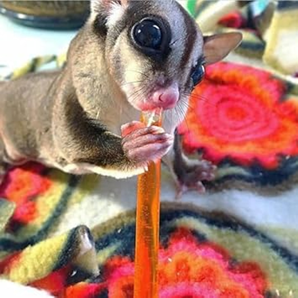 Honey Sticks - Peach Flavor (8 Sticks) - All-Natural Sweet Honey Treat - Made With Orange Blossom Honey - Sugar Gliders, Marmosets, Parrots, Canaries, Finches, Parakeets, Cockatiels, & Other Birdsã¢Â