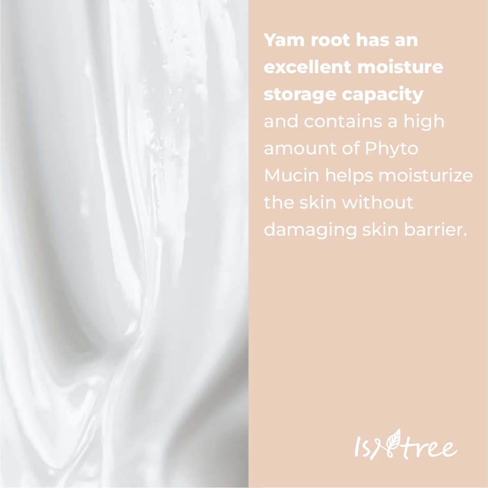 Isntree Yam Root Vegan Milk Cleanser 220Ml, 7.43 Fl.Oz | Rich & Creamy Texture | Protects Skin Barrier | Hydrating & Mild | Korean Skincare