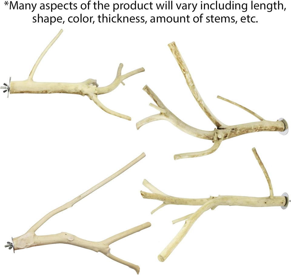 Multi-Branch Perch (Small) - Durable Natural Climbing Branch Perch Cage Accessory - Sugar Gliders, Squirrels, Prairie Dogs, Degus, Marmosets, Monkeys, Parrots, Birds, Rats, Reptiles, Amphibians