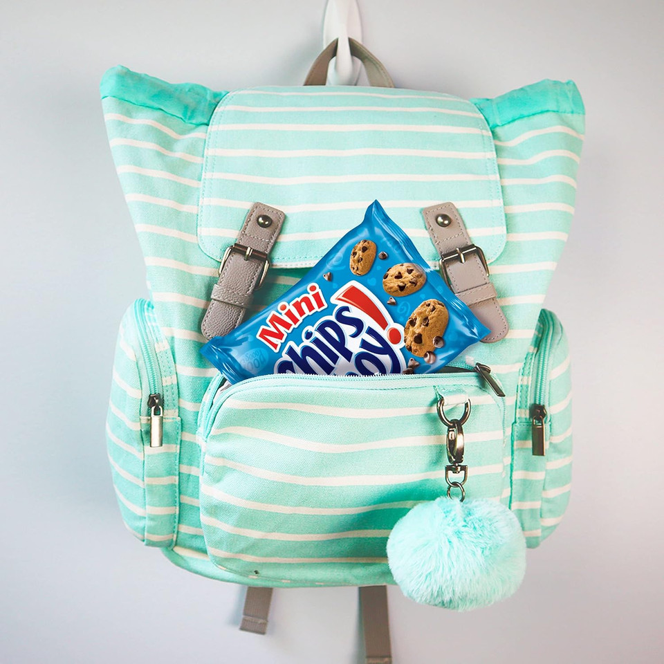 Nabisco Classic Mix Variety Pack, Oreo Mini, Chips Ahoy! Mini, Nutter Butter Bites, Ritz Bits Cheese, 20 - 1 Oz Snack Packs