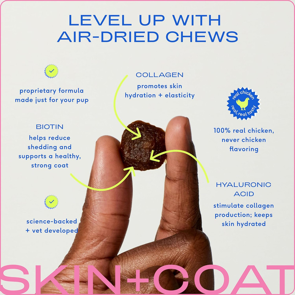 Native Pet Skin And Coat Chews For Dogs - Made With Wild-Caught Salmon Oil For Dogs Skin And Coat - Omega 3 For Dogs - Dog Shedding Supplement For Dog Hair Loss Treatment, Dog Hair Regrowth - 60 Chews