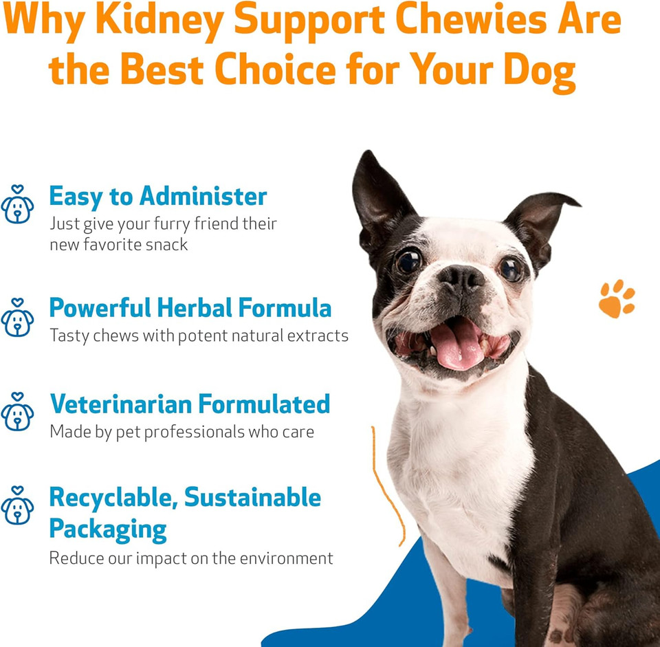 Pet Wellbeing Kidney Support Chewies For Dogs - Vet-Formulated - Supports Healthy Kidney (Renal) Function In Dogs - 90 Soft Chews