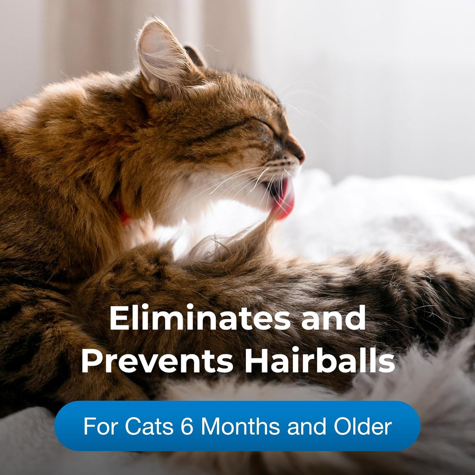 Petag Hairball Natural Solution Gel Supplement For Cats - 3.5 Oz, Pack Of 2 - Helps Prevent And Reduce Hairballs In Cats 6 Months And Older - Petrolatum Free