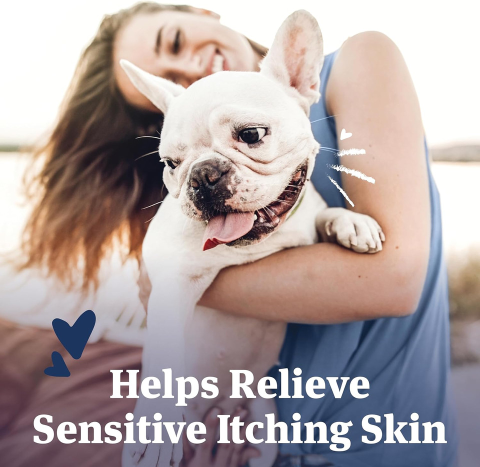 Petarmor Antihistamine Allergy Relief For Dogs, Easy-To-Use Allergy Medicine For Dogs, Anti-Itch Medicine Provides Relief From Insect Bites, And Stings, 100 Tablets