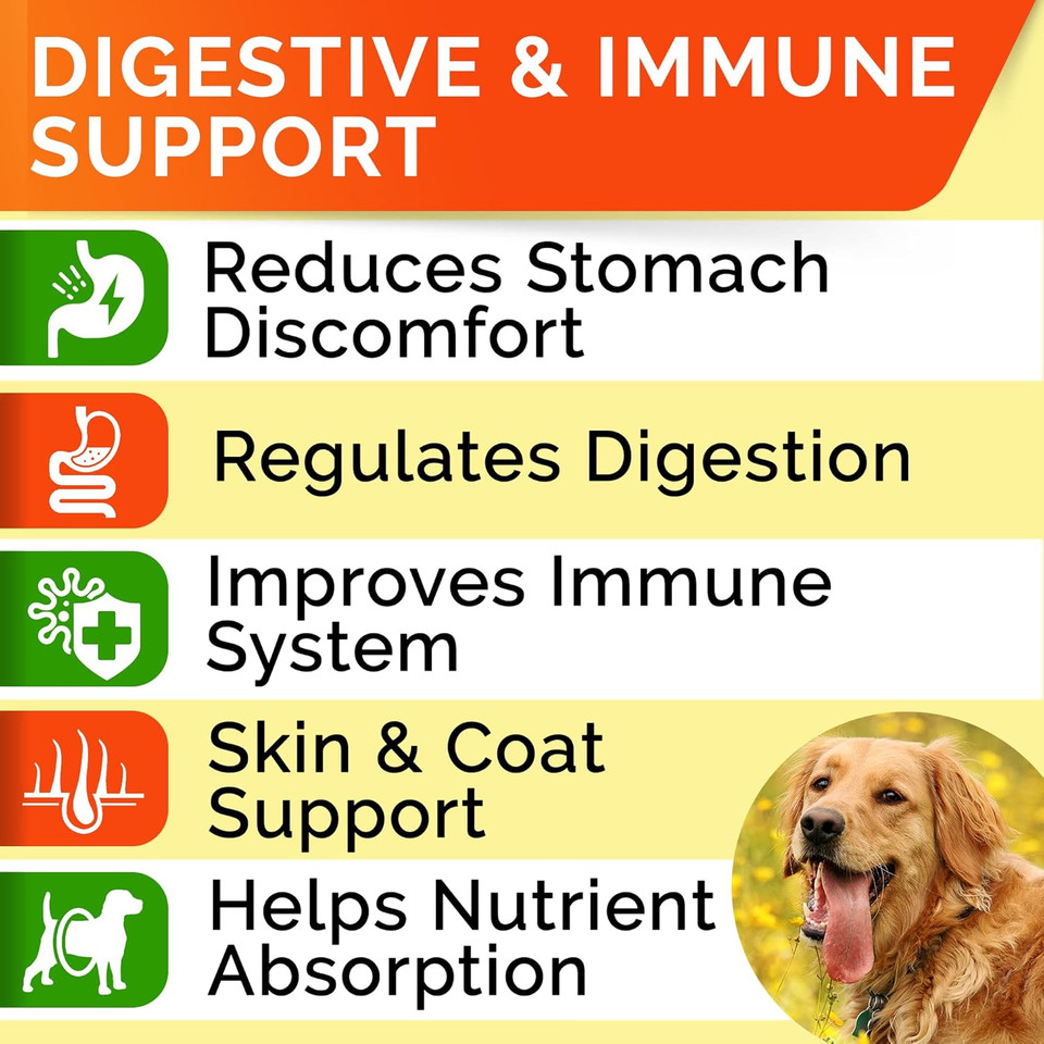 Probiotics Treats For Dog Bundle - Digestive Enzymes + Prebiotics - Chewable Fiber Supplement - Allergy, Diarrhea, Gas, Constipation, Upset Stomach Relief - Improve Digestion & Immunity - 300 Chews