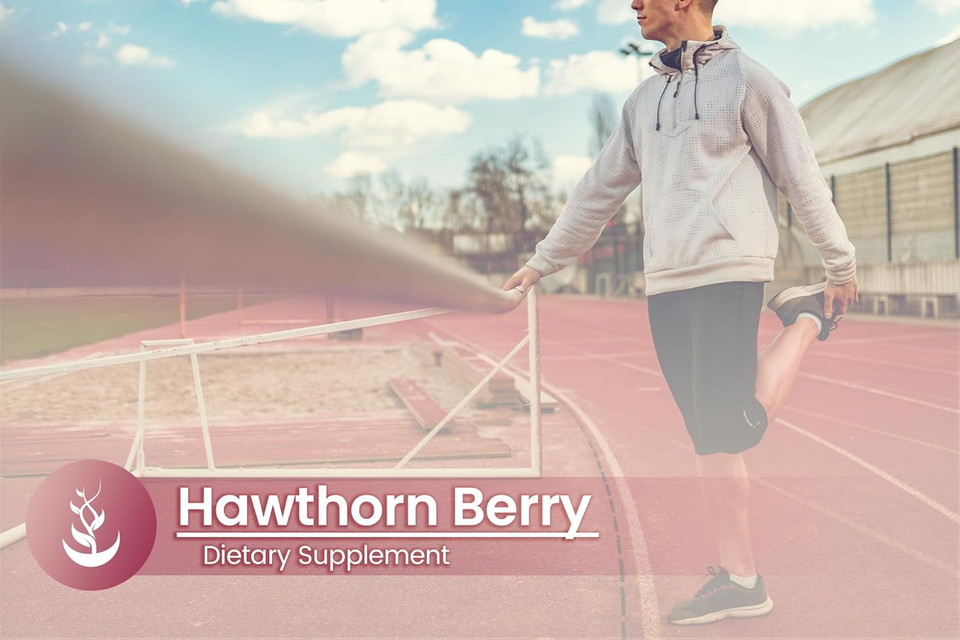 Pure Original Ingredients Hawthorn Berry, (100 Capsules) Always Pure, No Additives Or Fillers, Lab Verified