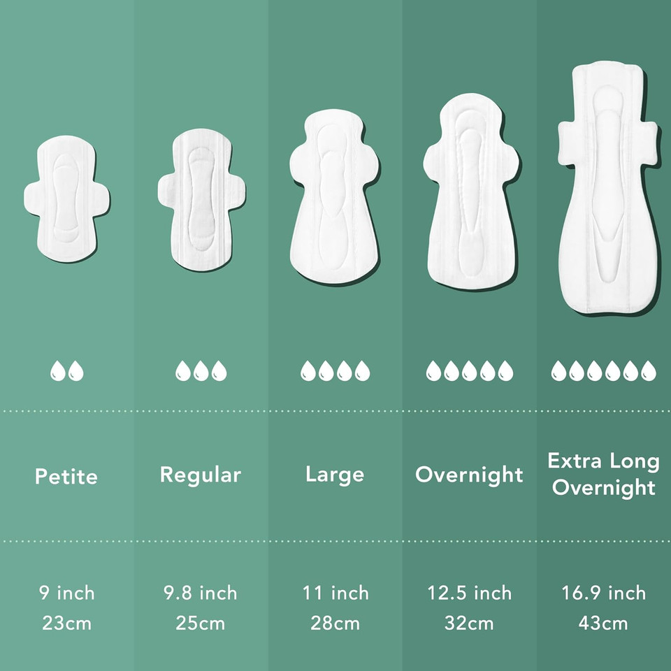 Rael Bundle - Large Pads (24 Count) & Overnight Pads (20 Count) & Regular Liners (81 Count)