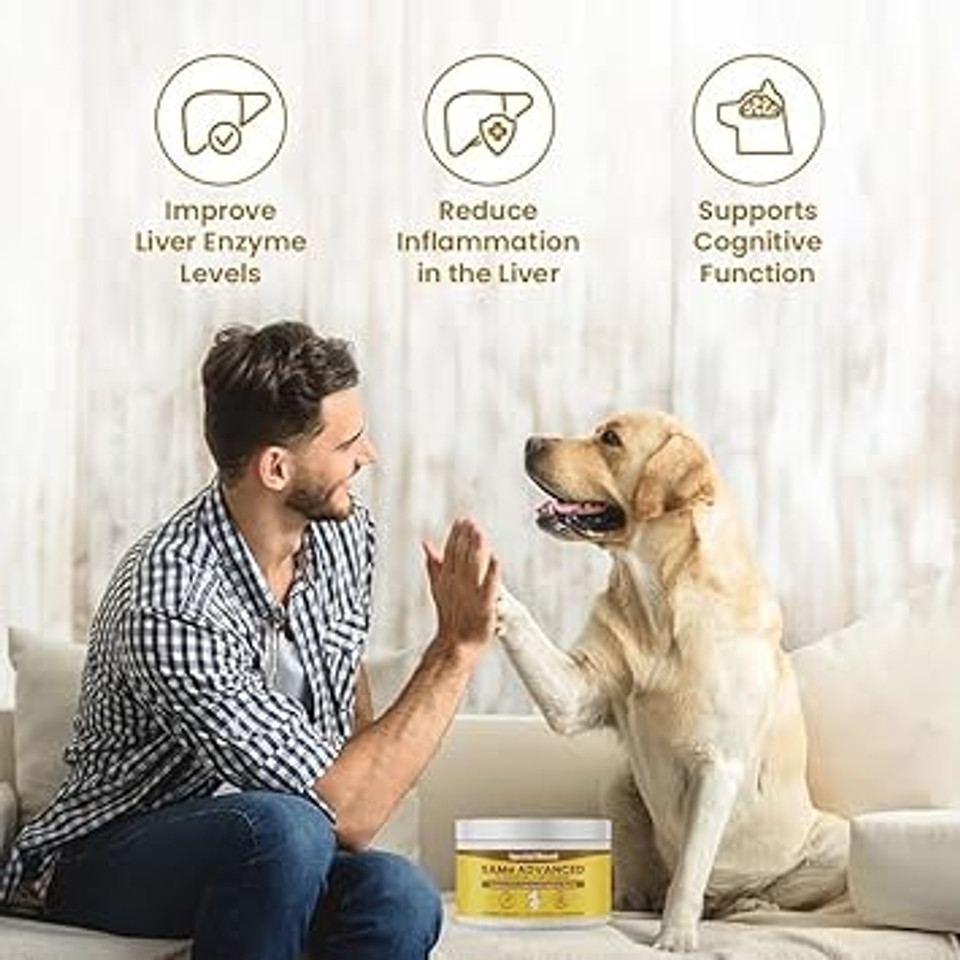 Special Breed Same For Dogs - S-Adenosyl-L-Methionine, Same Advanced, Liver Support Supplement For Dogs, Brain And Cognitive Support, Sam E For Dogs (120 Grams, 3 Pack)