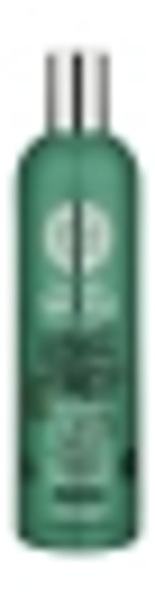 Natura Siberica Organic Shampoo Volume And Freshness For Oily Hair 400Ml