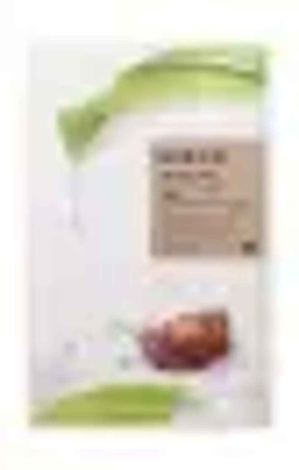 Mizon Joyful Essence Mask Snail Firming & Nutrition 23 G